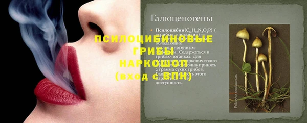 кокс Белокуриха