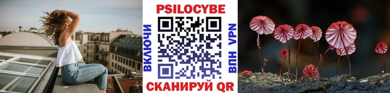 Псилоцибиновые грибы Psilocybe  kraken ссылки  Дагестанские Огни 