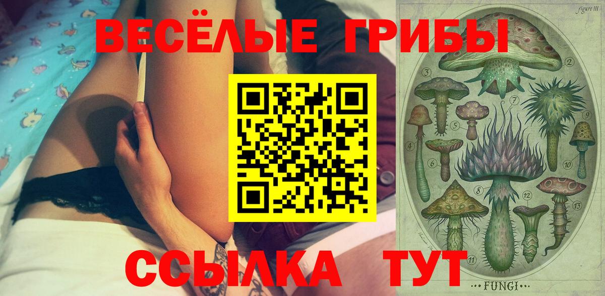 Галлюциногенные грибы MAGIC MUSHROOMS  Вход с VPN  Дагестанские Огни 
