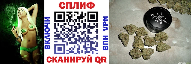 где можно купить   ссылка на мегу ССЫЛКА  Марихуана THC 21%  Дагестанские Огни 